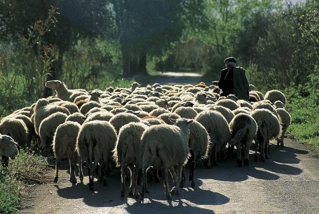 Η Ελλάδα της Μενεγάκη  και της Τζούλιας…