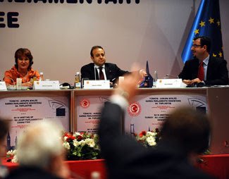 “Ακροδεξιός” ευρωβουλευτής πυροδοτεί εντάσεις στην συνάντηση  Τουρκίας-ΕΕ