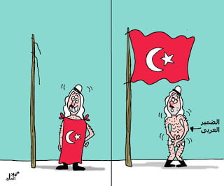 Το τουρκικό σχέδιο εν μέσω της αναταραχής στον μουσουλμανικό κόσμο