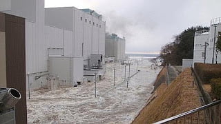 Fukushima and the Battle for Truth