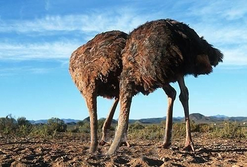 Η Κύπρος είναι μοντέλο για ολόκληρη την Ευρωζώνη.