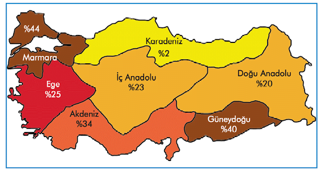 Για πρώτη φορά στοιχεία που αποδεικνύουν ότι οι Κούρδοι σε μερικά χρόνια θα αποτελούν πλειονότητα στην Τουρκία!!!