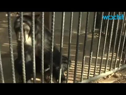 Στη Βενεζουέλα πλέον τρώνε ζώα από τους ζωολογικούς κήπους για να παλέψουν την πείνα