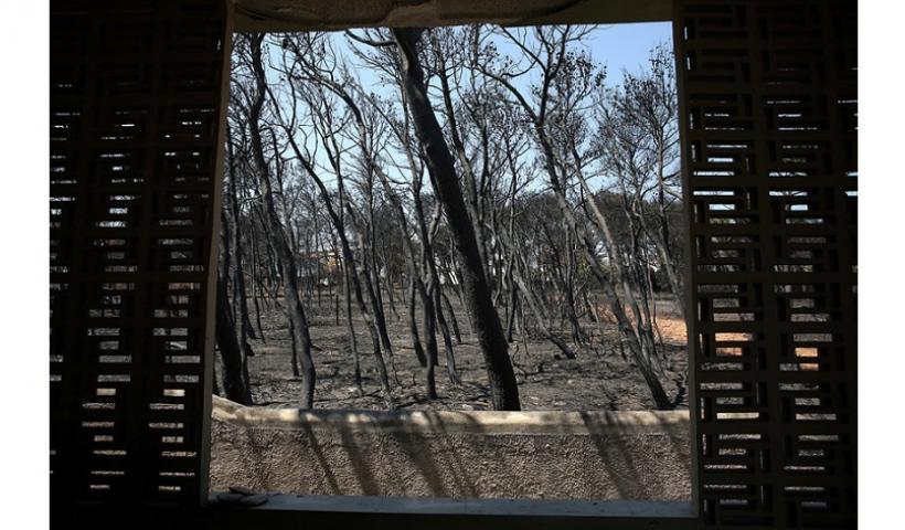 Πόρισμα-χαστούκι για τη φονική φωτιά της 23ης Ιουλίου στην ανατολική Αττική