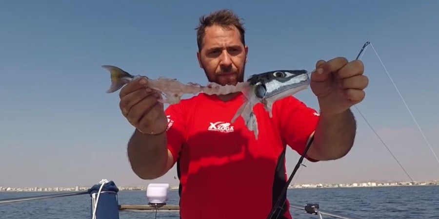 Ειδικός στην Κύπρο για το ψάρι που τρομοκρατεί κυπριακές θάλασσες (ΒΙΝΤΕΟ)