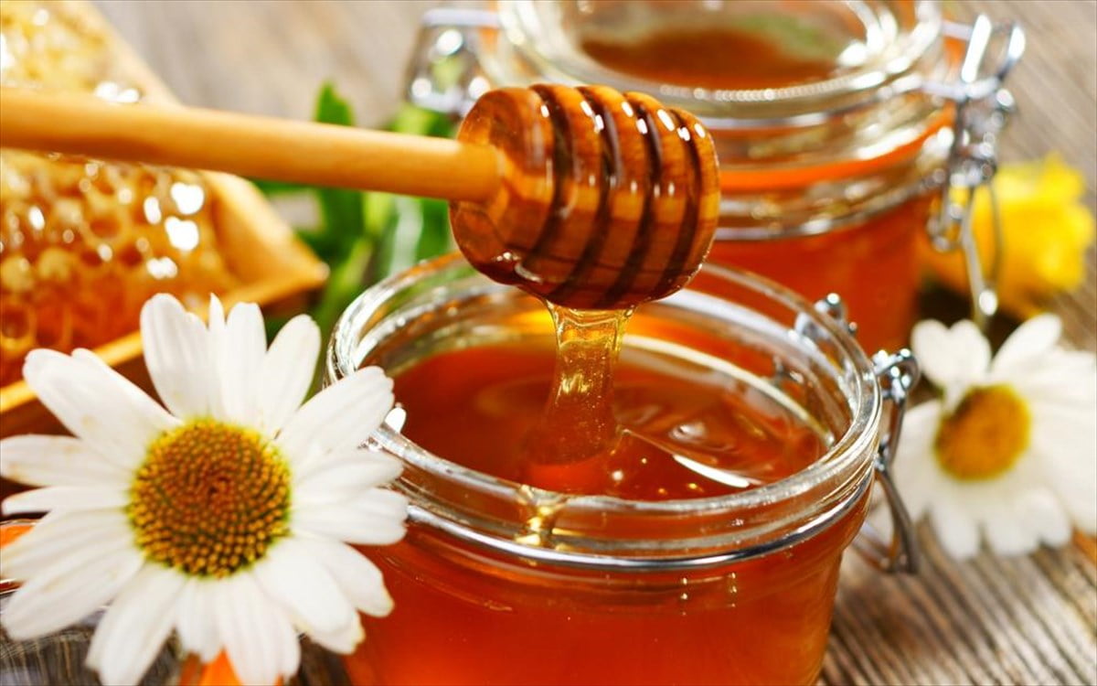Μάθετε τα πάντα για το ελληνικό μέλι