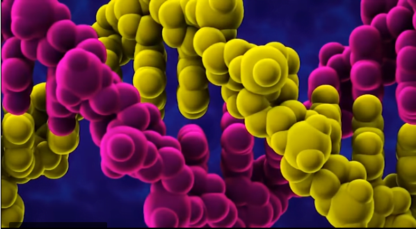 Αθανάσιος Τσαυτάρης, Ομ. καθηγητής Γενετικής: Έχουν κατασκευαστεί στο εργαστήριο RNA ιοί όπως είναι ο κορονοϊός (βίντεο)