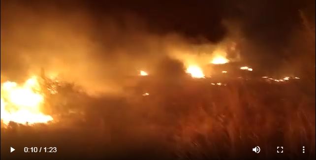 Άραβες καταγγέλλουν Αφγανούς για τη φωτιά στη Μόρια – Βίντεο