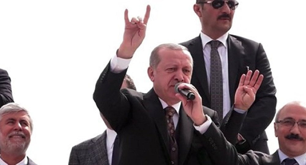 Η σκοτεινή συμμαχία του «αιχμαλώτου» Ερντογάν με μαφία και γκρίζους λύκους