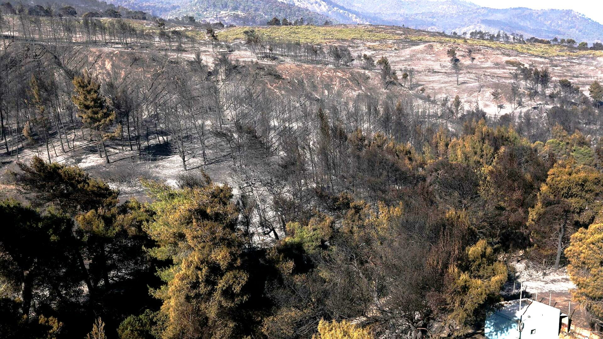 Μeteo Αστεροσκοπείου Αθηνών: Η Πυρκαγιά στα Γεράνεια Όρη, η Πιο Καταστροφική της Τελευταίας Δεκαετίας