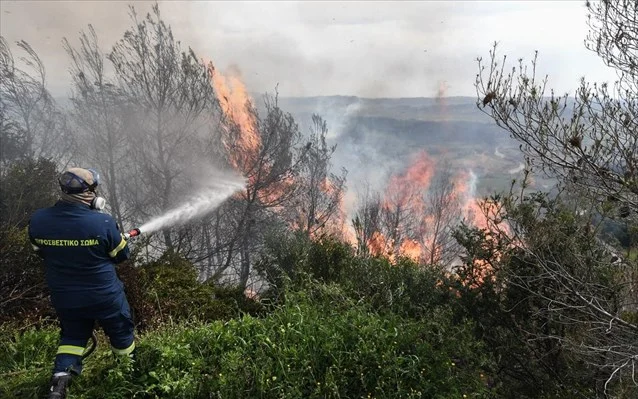 Πάνω από 400 πυρκαγιές σε μία εβδομάδα – Πυροσβεστική: Έκκληση τήρησης των μέτρων καύσης