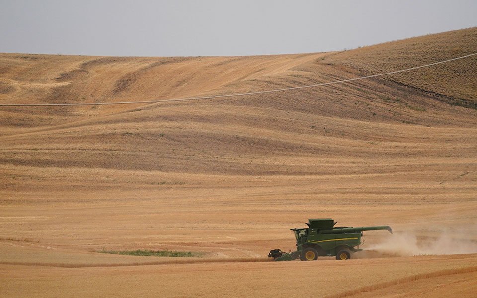 Ξαφνικά ξύπνησε ο Ουκρανός πρέσβης στην Άγκυρα: Η Τουρκία παίρνει κλεμένα ουκρανικά σιτηρά από τη Ρωσία