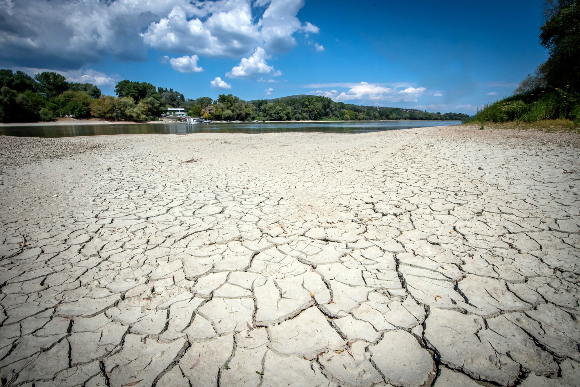 Ευρώπη: Στο έλεος της ξηρασίας οι καλλιέργειες «διψούν» — Εκτεταμένες διακοπές υδροδότησης (ΒΙΝΤΕΟ)