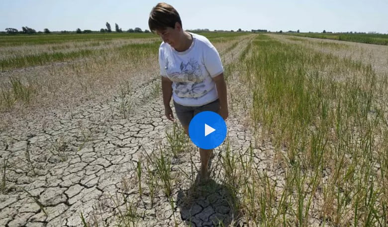 Ξηρασία στην Ευρώπη: «Διψάει» η Γαλλία, «στέγνωσαν» Ρήνος και Δούναβης