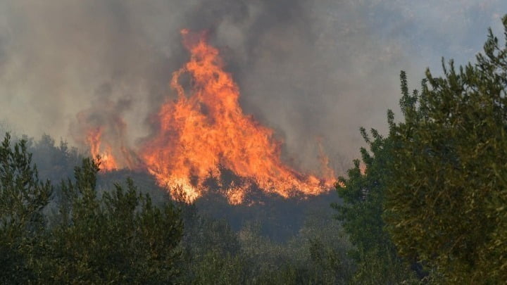 Πυροσβεστική: Σε ύφεση η πυρκαγιά στη Θάσο