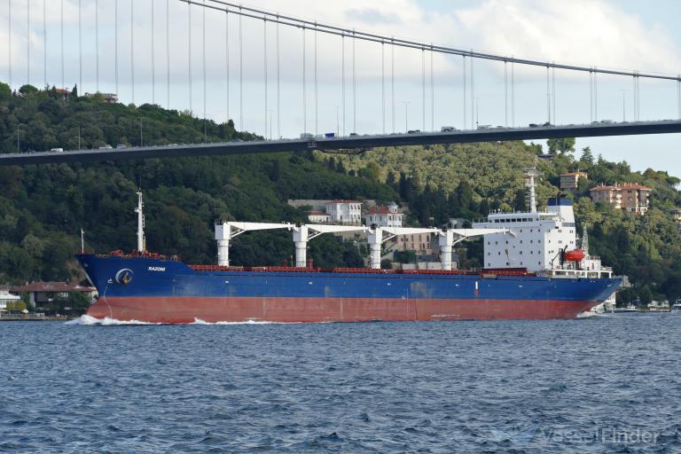 «Το πρώτο πλοίο με ουκρανικά σιτηρά έδεσε σε λιμάνι της Τουρκίας – Το φορτίο του βρήκε νέο αγοραστή»