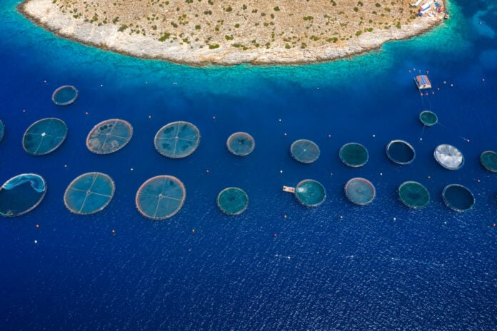 Ευρωπαϊκό Ταμείο Θάλασσας και Αλιείας: «Πράσινο φως» σε κονδύλια 364 εκατ. για την Ελλάδα