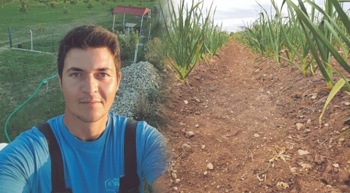 Ο 28χρονος αγρότης που άλλαξε την καλλιέργεια σκόρδου στα Πετρανά Κοζάνης