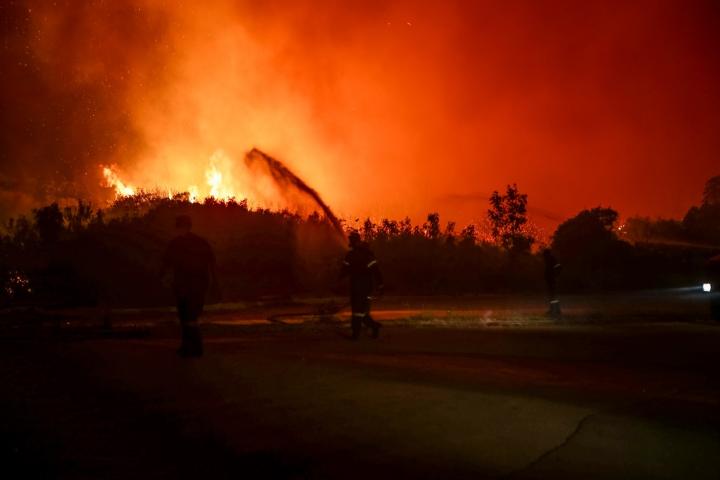 Ασύλληπτη τραγωδία στον Έβρο: Εντοπίστηκαν 26 απανθρακωμένες σοροί στο δάσος Δαδιάς