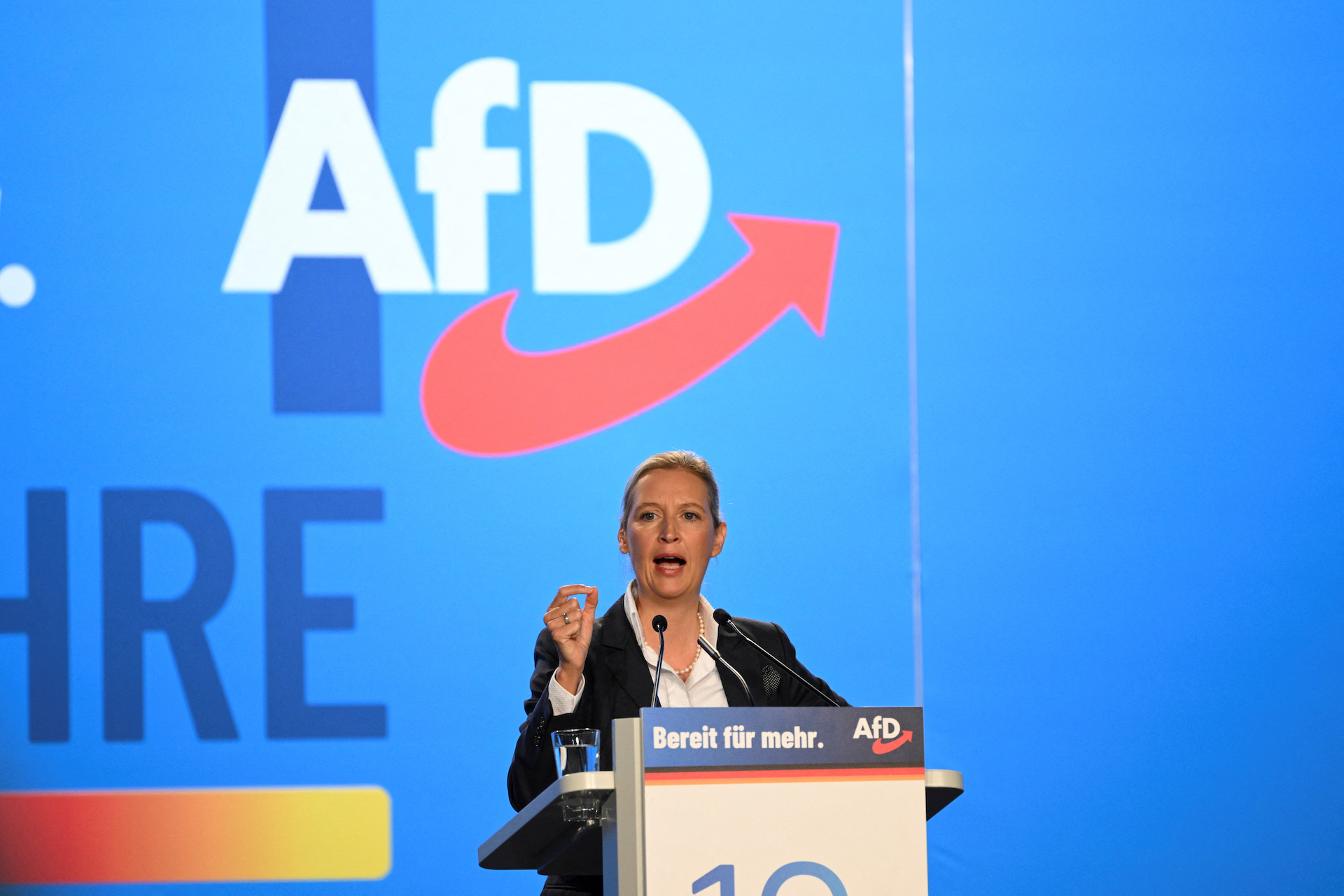 AfD: Σταθερά δεύτερη πολιτική δύναμη η Εναλλακτική για τη Γερμανία