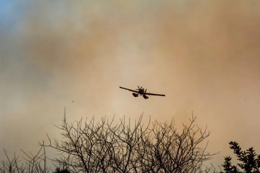 «Ο σπόρος της καταστροφής»Γιατί κάηκε φέτος τόσο μεγάλη δασική έκταση στην Ελλάδα; Ιδού οι απαντήσεις