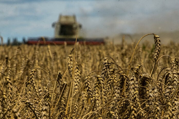 Ουκρανία: Αναστέλλει την προσφυγή της στον Παγκόσμιο Οργανισμό Εμπορίου για τα σιτηρά