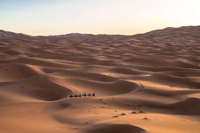 Πώς η Σαουδική Αραβία μετατρέπει την έρημο σε καλλιεργήσιμο εδάφος