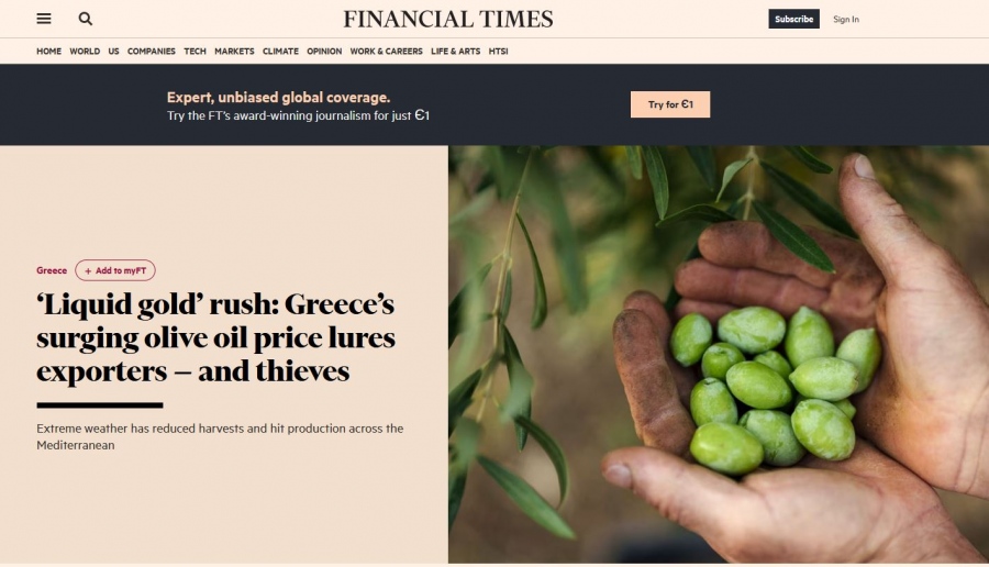 Financial Times: “Χρυσός” της Ελλάδας το ελαιόλαδο! Η τιμή δελεάζει εξαγωγείς και κλέφτες