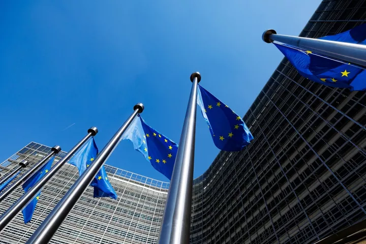 ΕΕ: Δεν θα χαρακτηρίσει τους Χούθι «τρομοκρατική» οργάνωση όπως οι ΗΠΑ