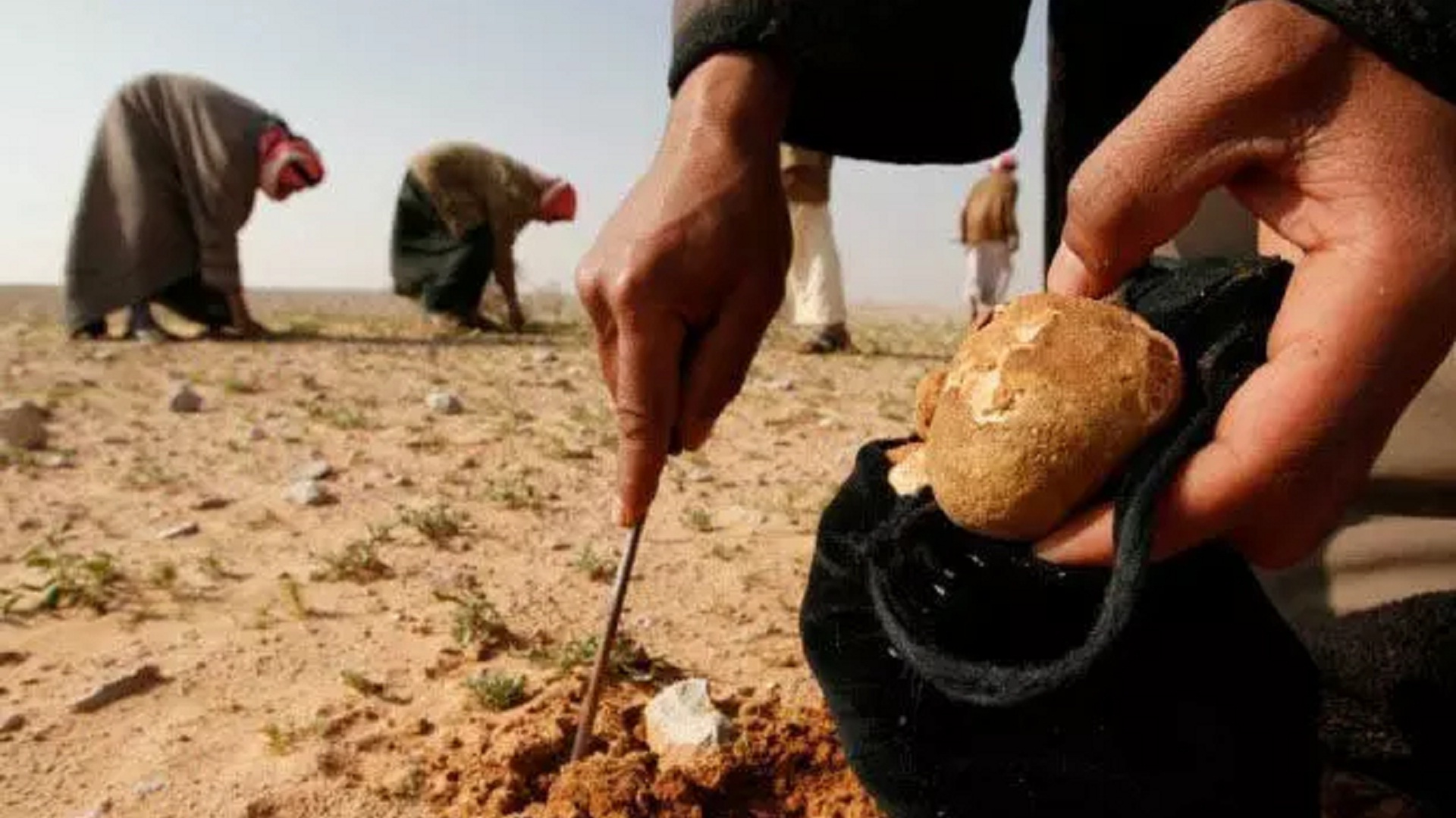 Το ISIS είναι ακόμα παρόν στη Συρία: 14 πολίτες νεκροί από νάρκη τζιχαντιστών, ενώ μάζευαν μανιτάρια τρούφες