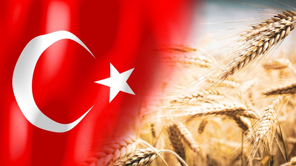 Από εισαγωγέας ρωσικών σιτηρών η Τουρκία γίνεται εξαγωγέας – Η αγορά γης στην Αφρική και το λαθρεμπόριο