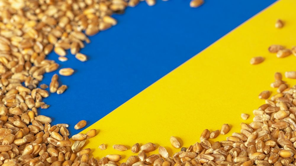 Η Ουκρανία ζητά μακροπρόθεσμο σχέδιο για τις εξαγωγές τροφίμων στην ΕΕ